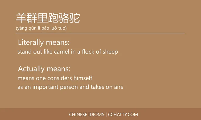 https://i.cchatty2.com/filters:format(webp)/fit-in/684x0/img/202102/羊群里跑骆驼-Chinese-idioms-Cchatty-52620359-67a2-4305-a57a-7bda4188a98d-1612777955.jpg