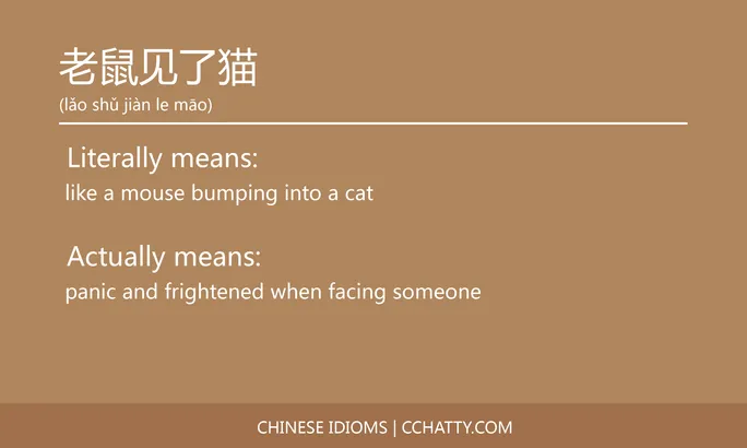 https://i.cchatty2.com/filters:format(webp)/fit-in/684x0/img/202102/老鼠见了猫-Chinese-idioms-Cchatty-6421b297-6132-4f32-895c-79f30860eb18-1612777996.jpg