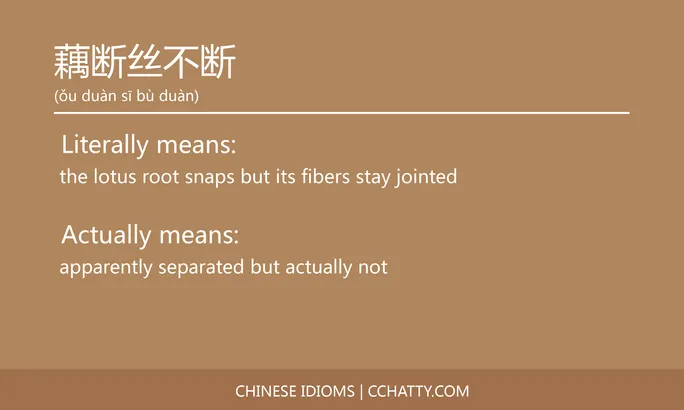 https://i.cchatty2.com/filters:format(webp)/fit-in/684x0/img/202102/藕断丝不断-Chinese-idioms-Cchatty-e8e97a1d-ad65-4bba-b843-6eae89d1148a-1612778086.jpg