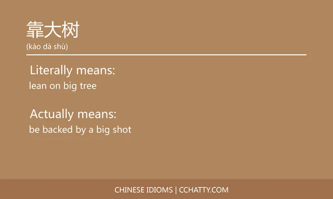 https://i.cchatty2.com/filters:format(webp)/fit-in/684x0/img/202102/靠大树-Chinese-idioms-Cchatty-b5617b2d-c349-484a-aa0e-b0a4c3994997-1612778403.jpg