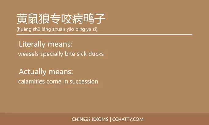 https://i.cchatty2.com/filters:format(webp)/fit-in/684x0/img/202102/黄鼠狼专咬病鸭子-Chinese-idioms-Cchatty-3e5f59dd-5b7e-40c4-b102-7d068891c4bb-1612778471.jpg