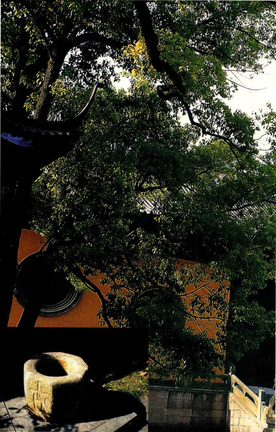 https://i.cchatty2.com/filters:format(webp)/fit-in/960x0/img/202311/WestLakeFolkTales-TheWellThatBroughtTheTimber-4--b2070e08-1095-4852-8c22-633621da9de4-1699954333.jpg
