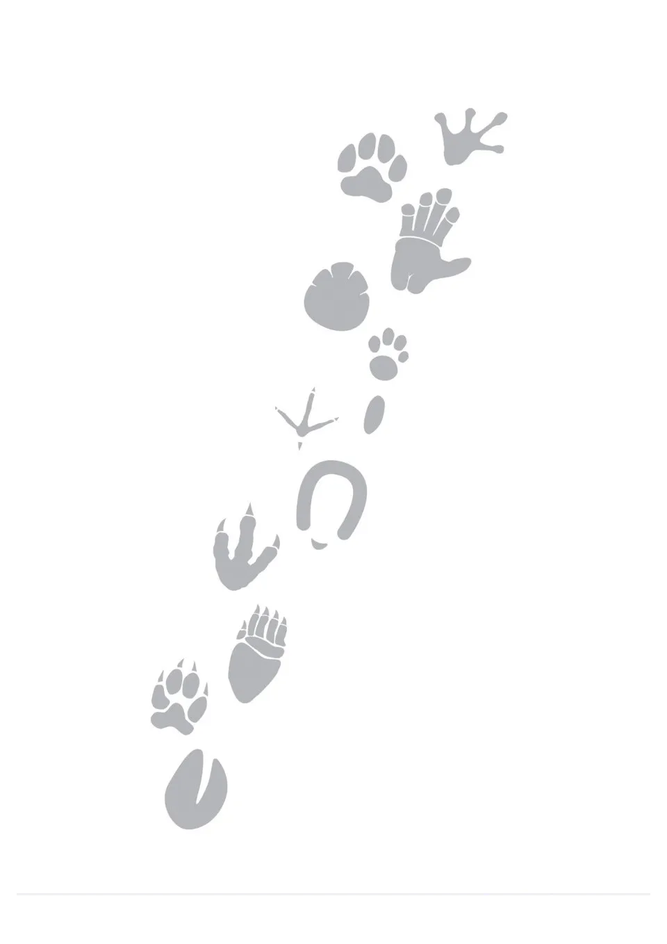 https://i.cchatty2.com/filters:format(webp)/fit-in/960x0/img/202402/CoolPanda1AAnimals2WeLoveDance-1--00681616-415b-4b0b-a3ec-aec59d2b938e-1708650450.jpg