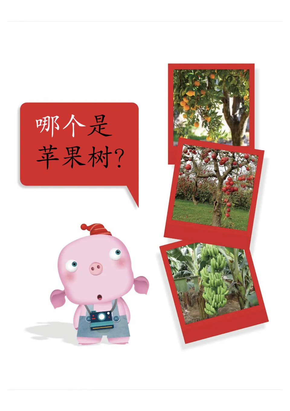 (PDF) My Orchard - Fruits - Cool Panda 1A