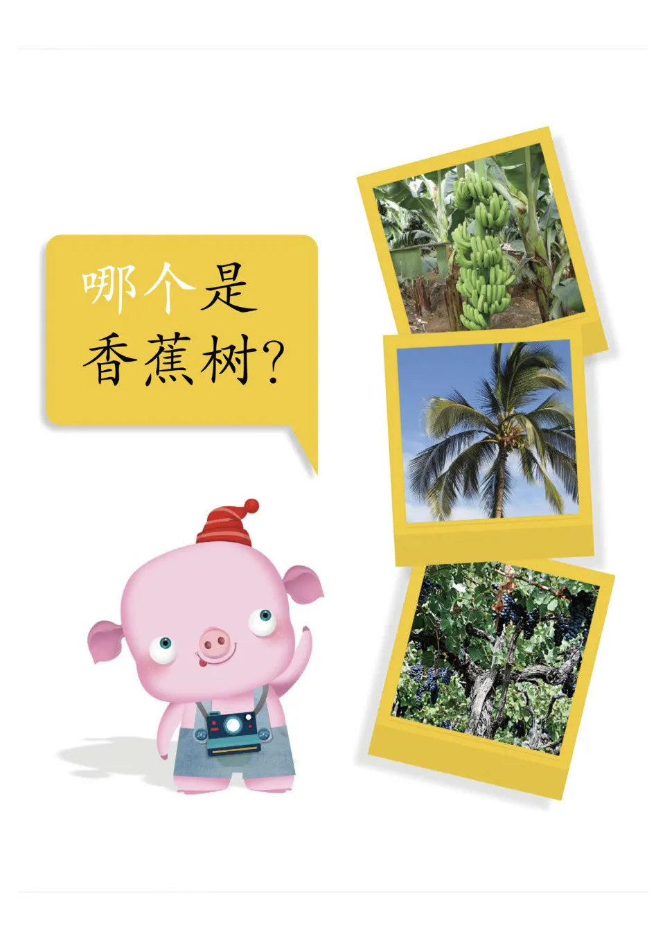 (PDF) My Orchard - Fruits - Cool Panda 1A