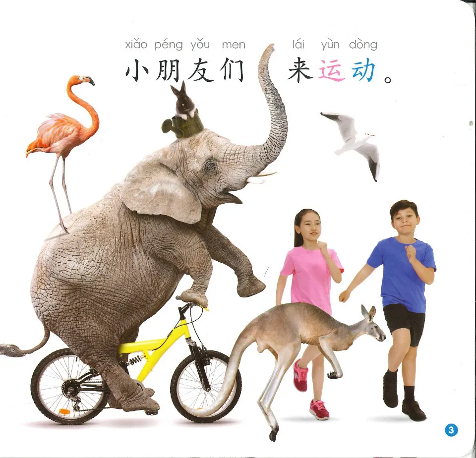 https://i.cchatty2.com/filters:format(webp)/fit-in/960x0/img/202508/GradedChineseReadersLevel1Sport11KidsLetsExercise-1--79bec1e5-ea9b-4acf-aa70-a33d7d6da7b1-1755231852.jpg